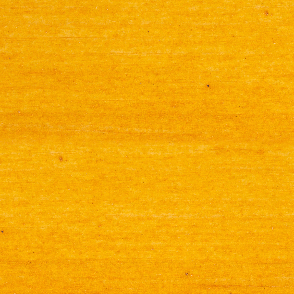 022 Boxwood