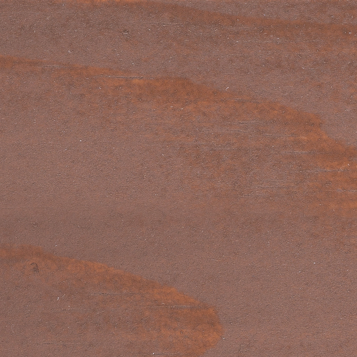 1126 Sienna