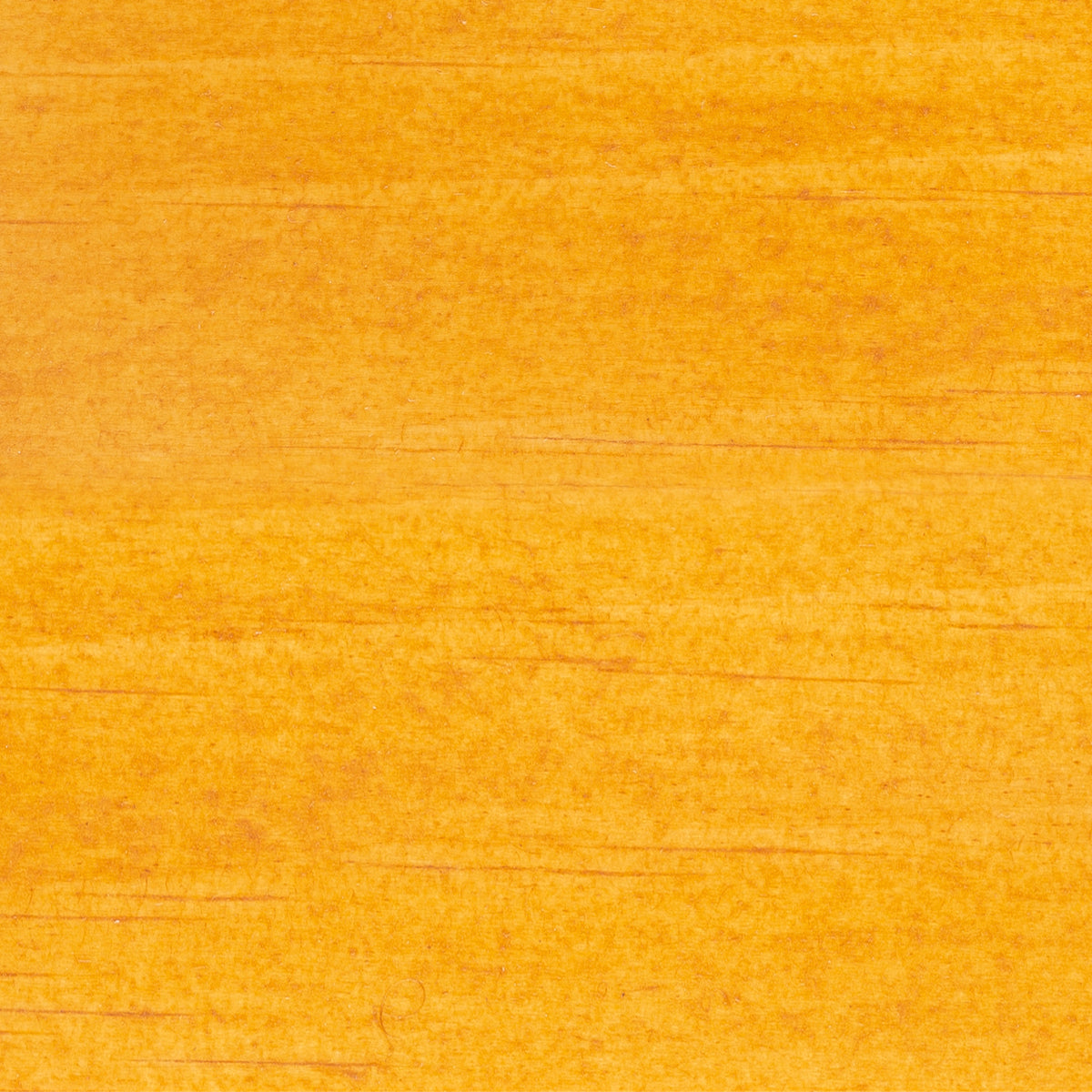593 Larch