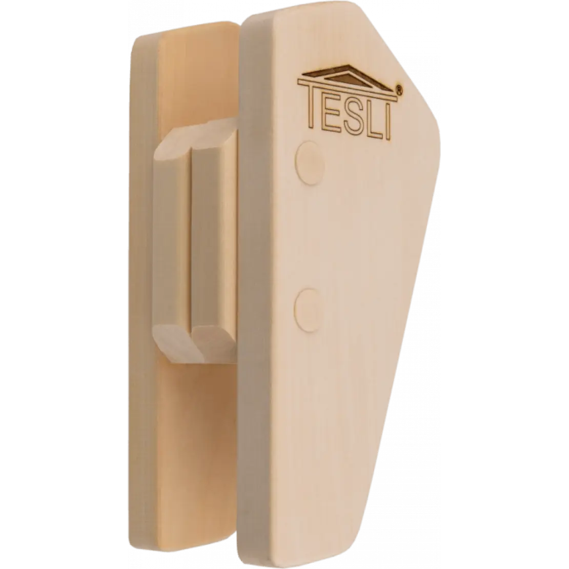 ruchka_tesli2-1110x1110