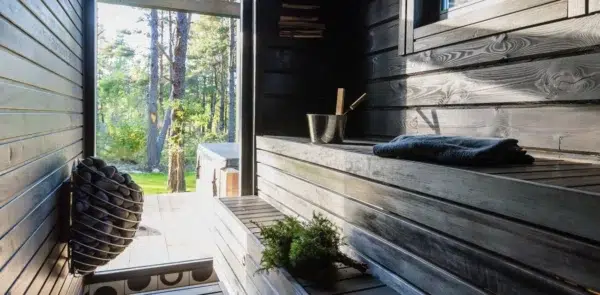 Sauna interior, dark wooden benches beside an open glass door