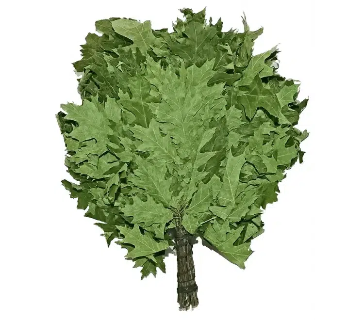 TESLI CANADIAN OAK Sauna Venik