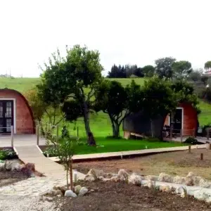 Wooden camping pod, camping pod setting among trees