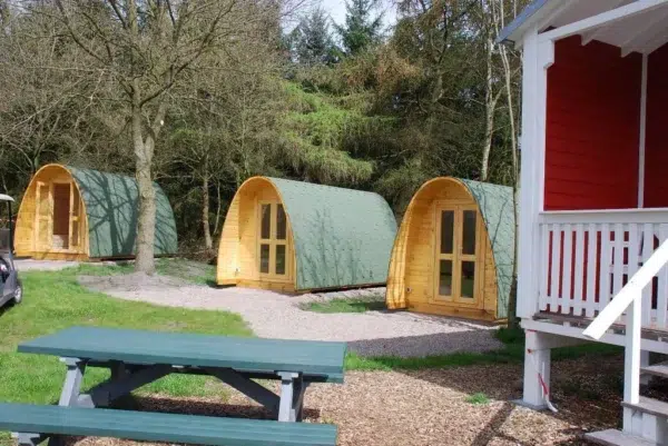 Wooden camping pod, row of camping pods beside a picnic area